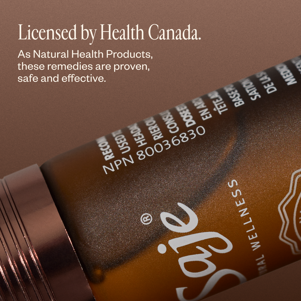 Women's Everyday Essentials Duo