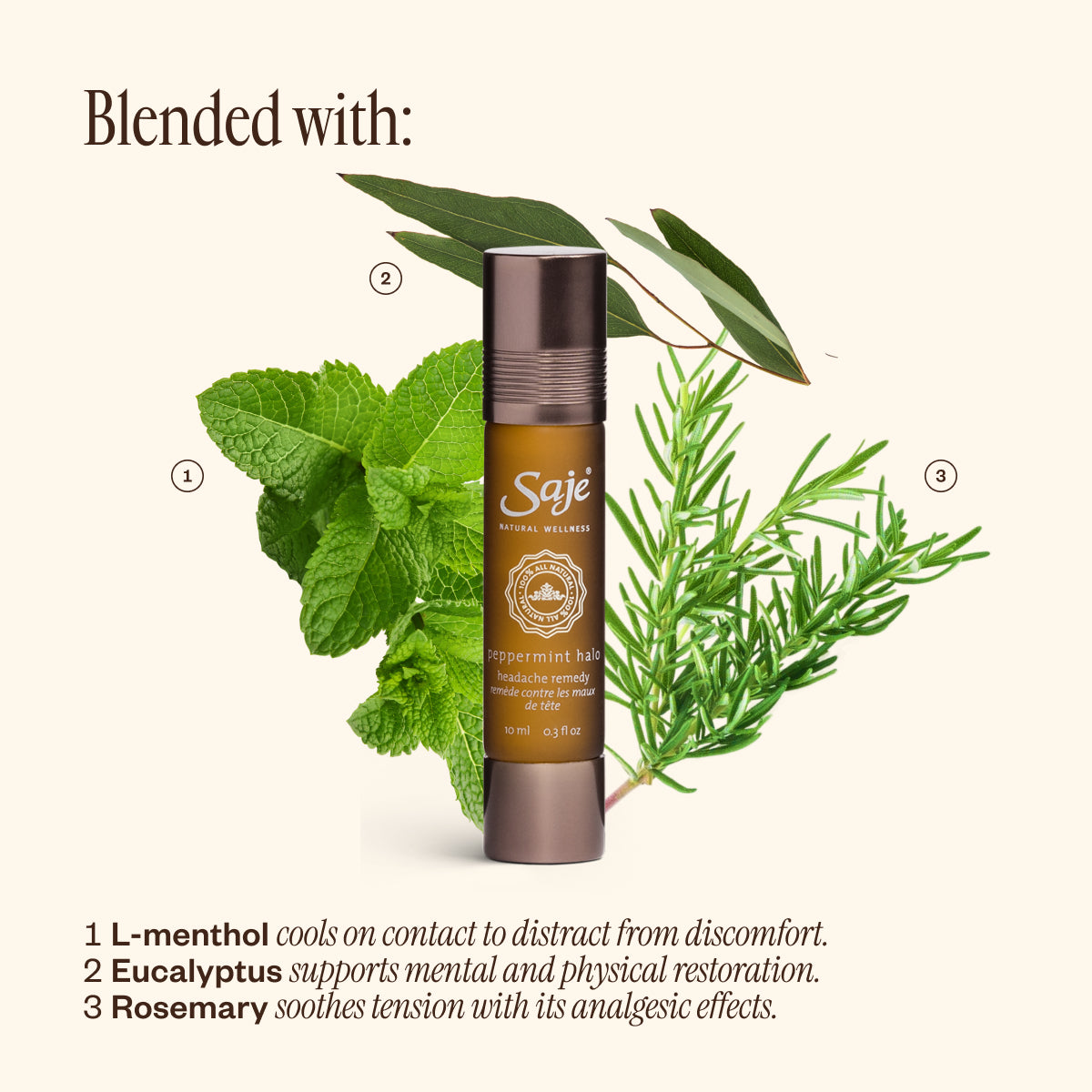 Best-Seller Discovery Set