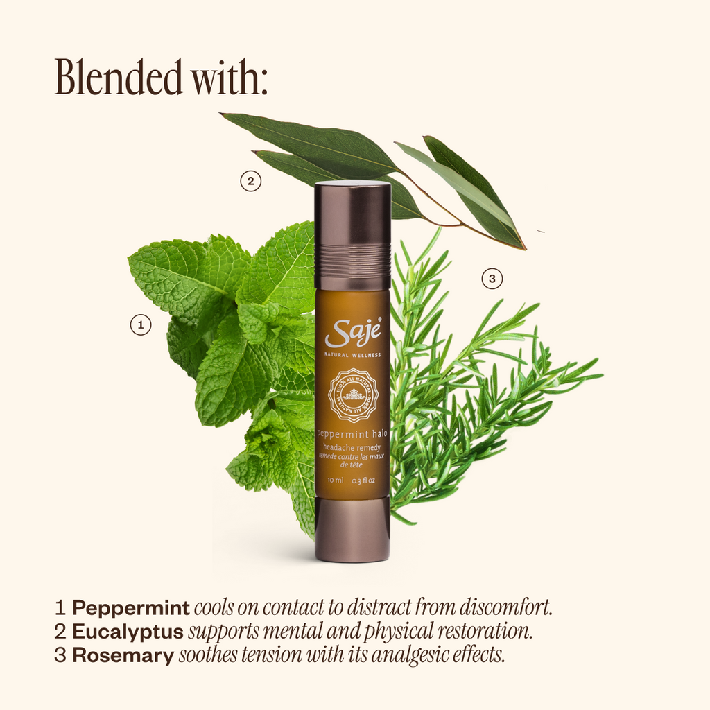 The Best of Saje Bundle