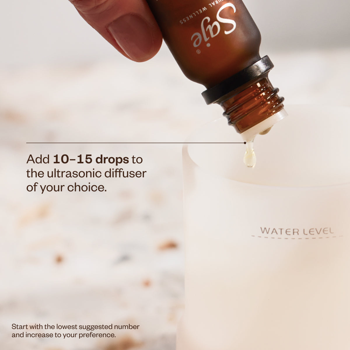 Refresh