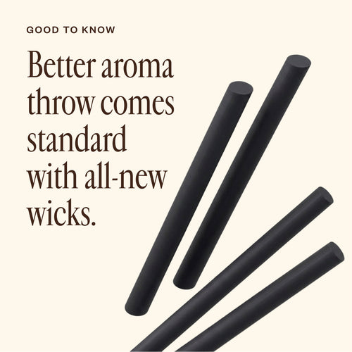 Aroma Horizon Next Gen Refills