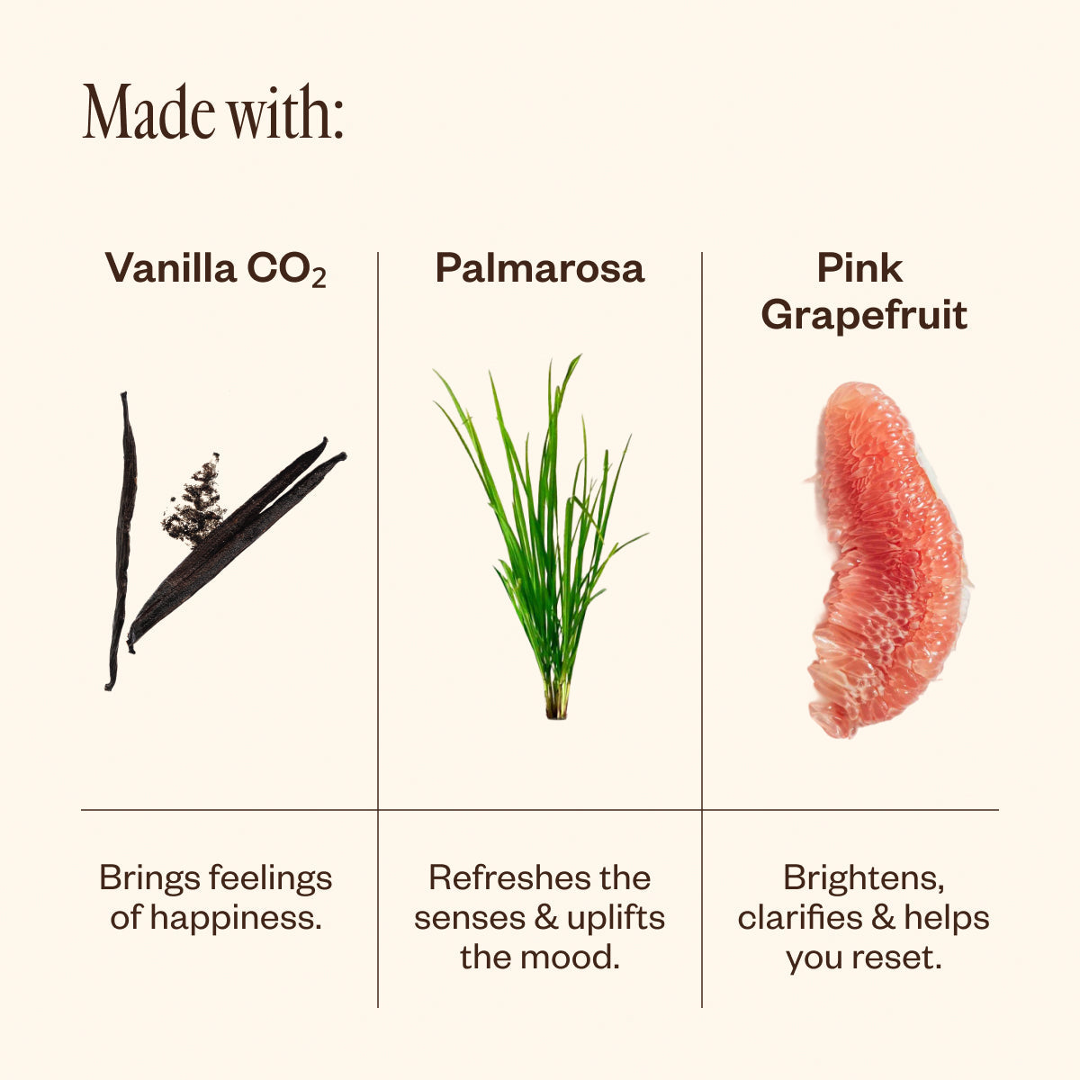 Aroma Halo & Vanilla Skies
